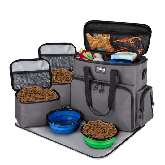 Dog Feeding Guide: Healthy Dog Food Tips